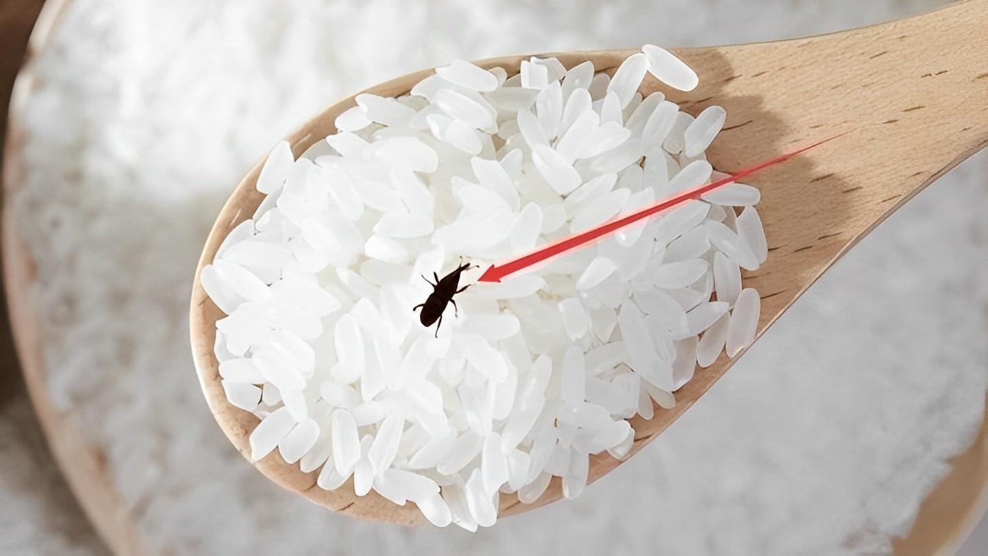 Giải Mã Giấc Mơ Thấy Xác Chết Thai Nhi Và Số Đề
