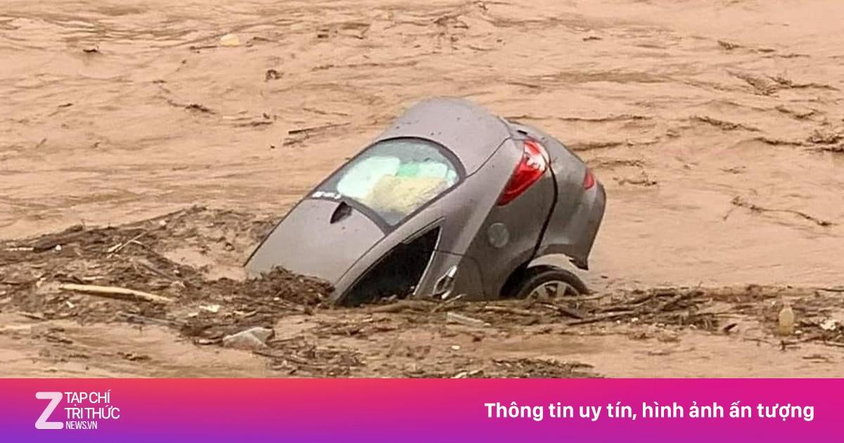 Nước ngập đường đi đục ngầu, cây cối đổ ngổn ngang