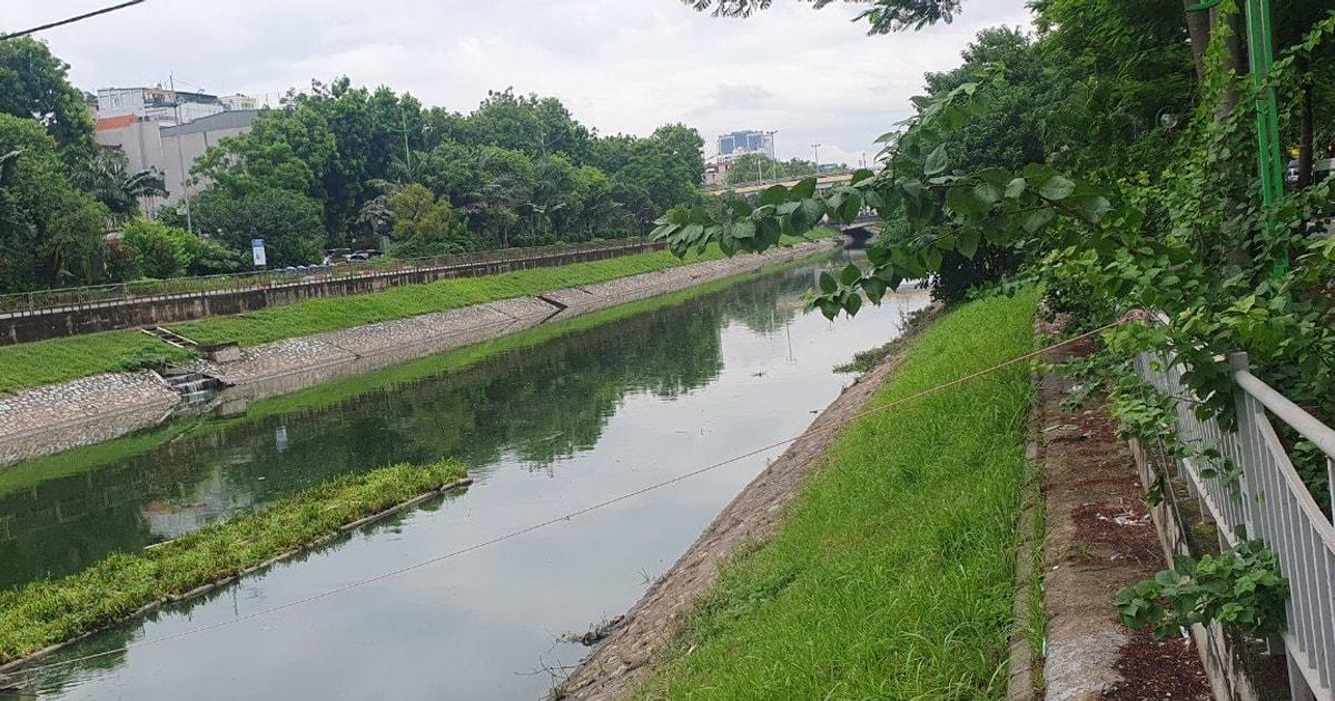 Giải Mã Giấc Mơ Thấy Con Dê Đen Và Những Con Số May Mắn