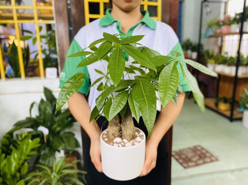 Nằm Mơ Thấy Gãy Răng Đánh Số Gì?