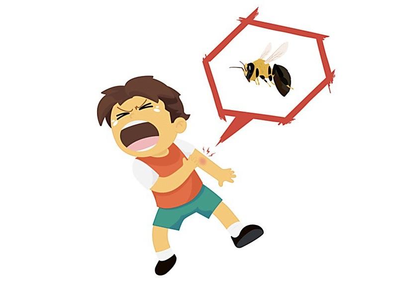 Giải Mã Giấc Mơ Thu Phương Đêm Nằm Mơ Phố
