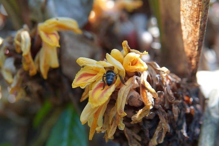 Hay Nằm Mơ Thấy Người Yêu Cũ: Giải Mã Số Đề Chính Xác