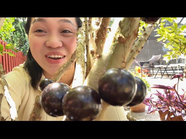 Nằm mơ thấy bố mẹ chồng la điềm gì? Giải mã và đánh số