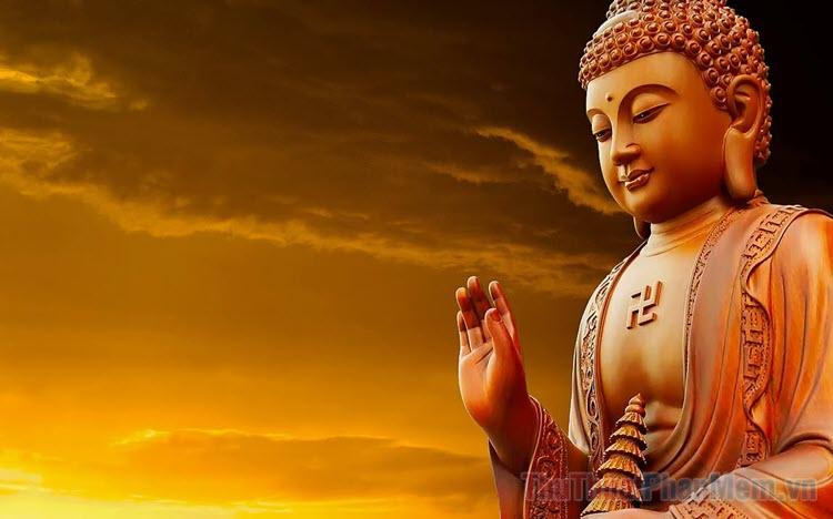 Giải Mã Giấc Mơ Thấy Mua Xe Hơi Màu Đỏ Và Những Con Số May Mắn