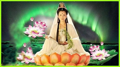 Giải Mã Giấc Mơ Thấy Bắt Được Ốc Bươu Và Những Con Số Liên Quan