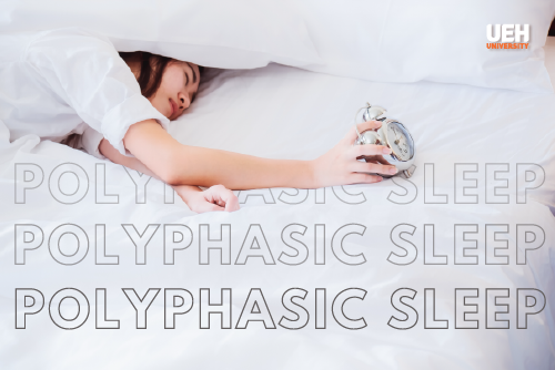 Giải Mã Giấc Mơ Thấy Rắn Khổng Lồ Màu Trắng Và Con Số May Mắn