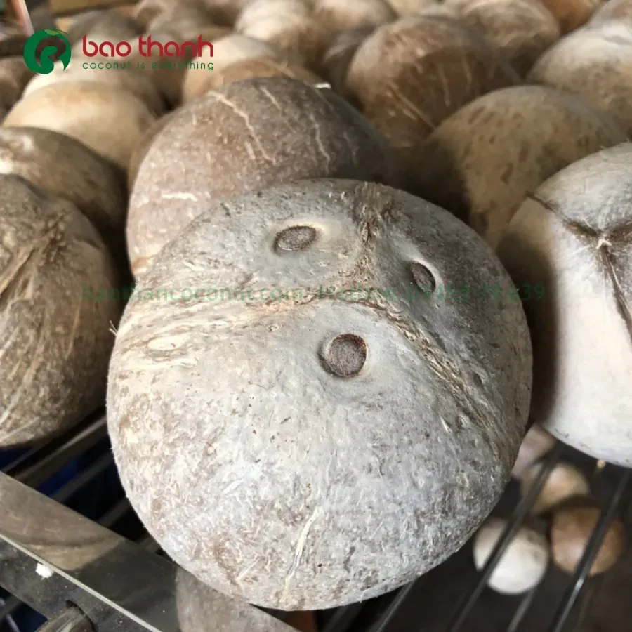 Giải Mã Giấc Mơ Thấy Rất Nhiều Mèo Con Và Số Đề Liên Quan