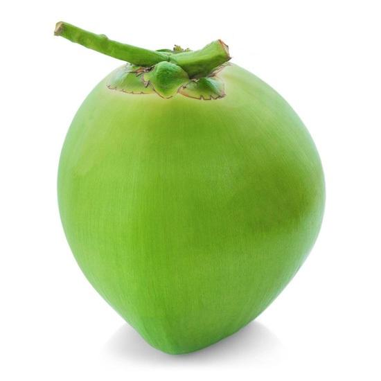 Quả dừa xanh trên cây