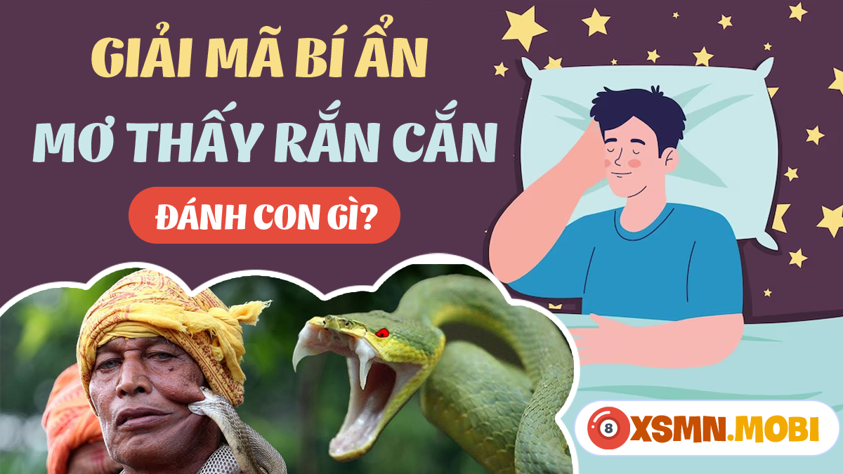 Mơ thấy rắn cắn chó