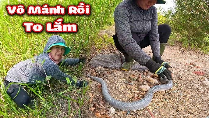 Giải Mã Giấc Mơ Thấy Cá Trắm Trắng Và Những Con Số May Mắn