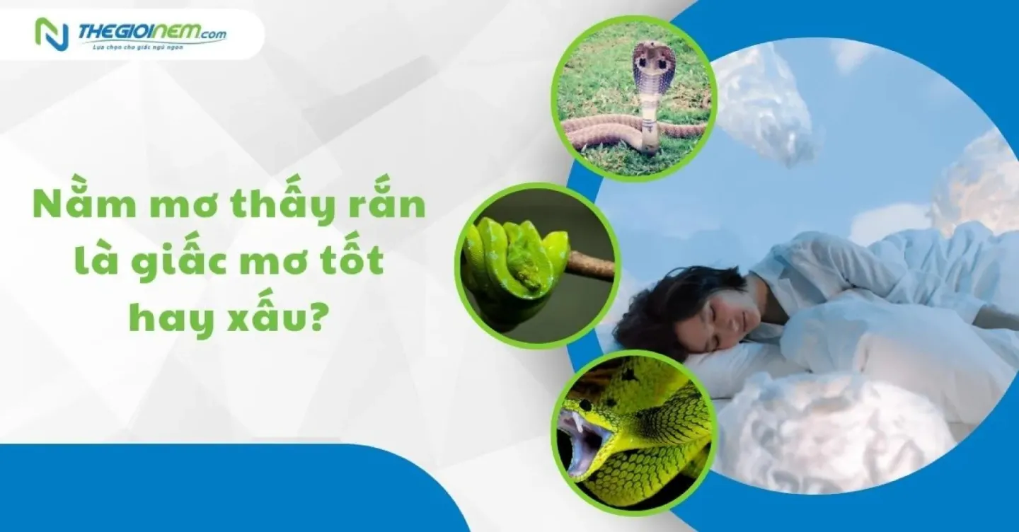 Giải Mã Giấc Mơ Thấy Bố Mẹ Bạn Nhà Và Số Đề