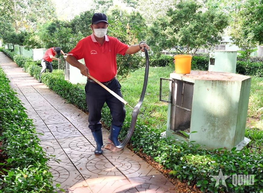 Giải Mã Giấc Mơ Thấy Hái Trái Mãng Cầu Chín và Số Đề