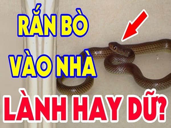 Nằm Mơ Nhìn Thấy Đám Ma Đánh Con Gì?