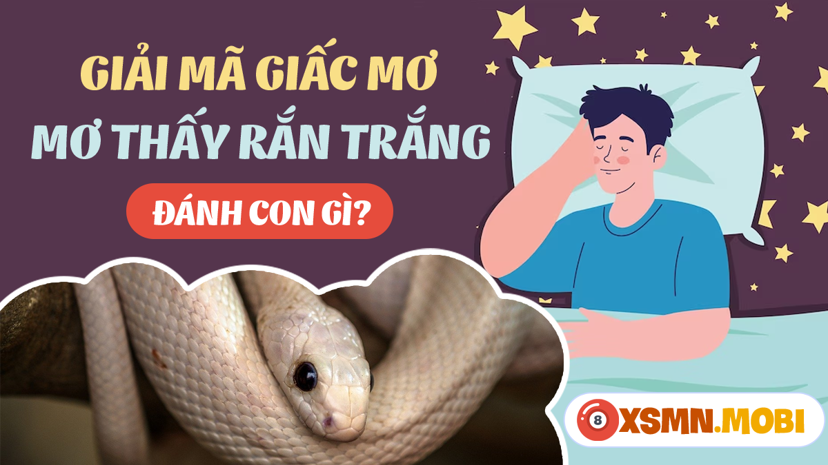 Giải Mã Giấc Mơ Thấy Mua Vải May Đồ Và Những Con Số Liên Quan