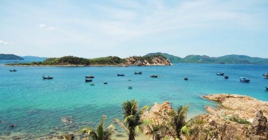Rùa Thần Khổng Lồ Biển Xanh