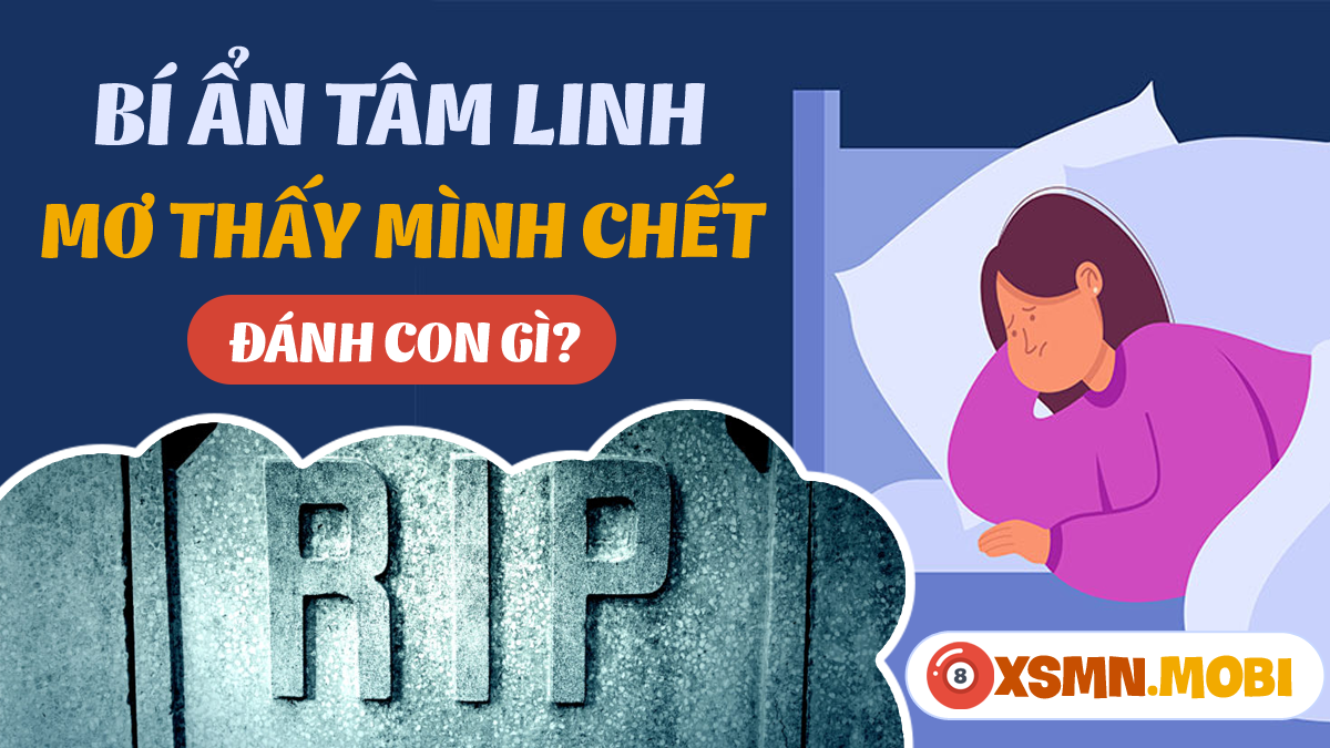Giải Mã Giấc Mơ Thấy Của Quý Đàn Ông Và Số Đề