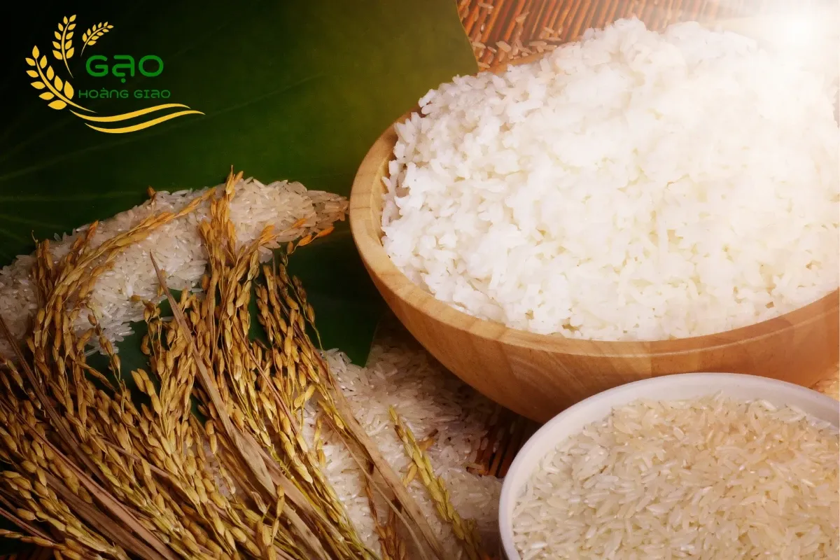 Giải Mã Giấc Mơ Thấy Người Khác Nhổ Răng và Số Đề