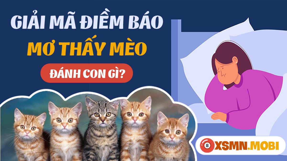 Nằm Mơ Thấy Mèo Vàng Đánh Số May