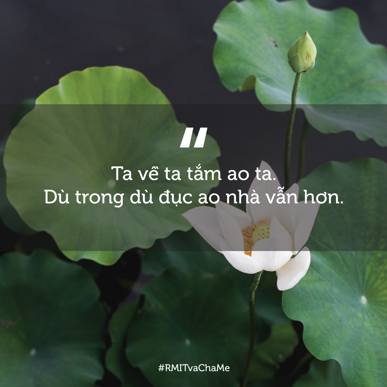 Giải Mã Giấc Mơ Thấy Em Be Đang Ngủ Và Những Con Số Liên Quan
