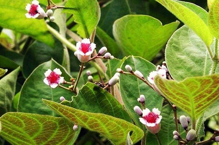 Giải Mã Giấc Mơ Thấy Người Quen Ôm Mình Và Những Con Số May Mắn