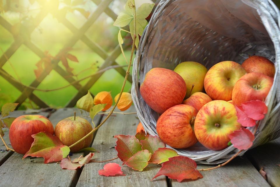 Nằm Mơ Thấy Trái Cherry Rụng: Cảnh Giác Với Rủi Ro