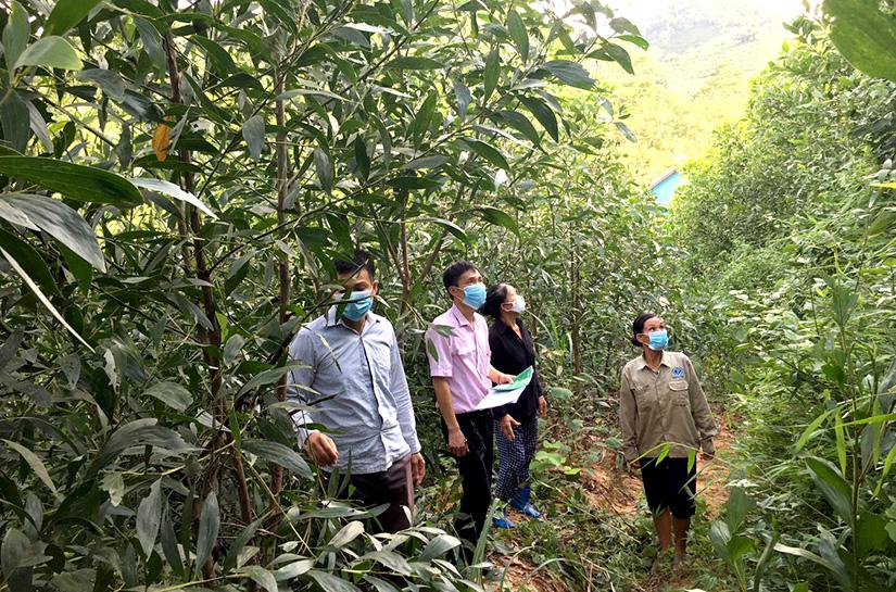 Giải Mã Giấc Mơ Thấy Học Sinh Và Con Số May Mắn