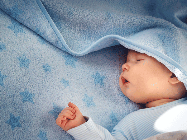 Nằm Mơ Thấy Cây Phát Tài Nở Hoa: Điềm Báo Gì Về Số Đề?