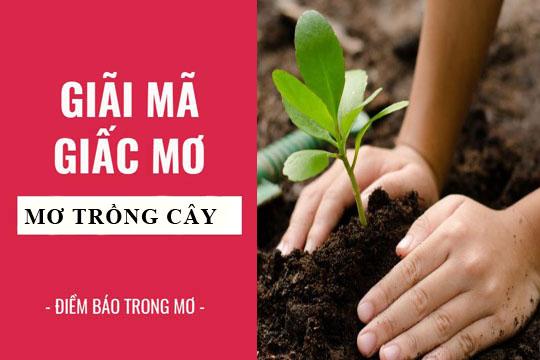 Giải Mã Giấc Mơ Thấy Em Be Đang Ngủ Và Những Con Số Liên Quan
