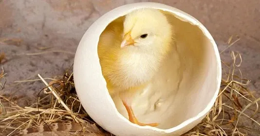 Giải Mã Giấc Mơ Thấy Người Còn Sống Và Những Con Số May Mắn