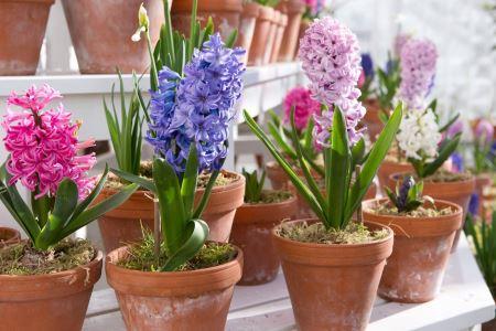 Nằm Mơ Mất Điện Thoại Đánh Đề Con Gì?