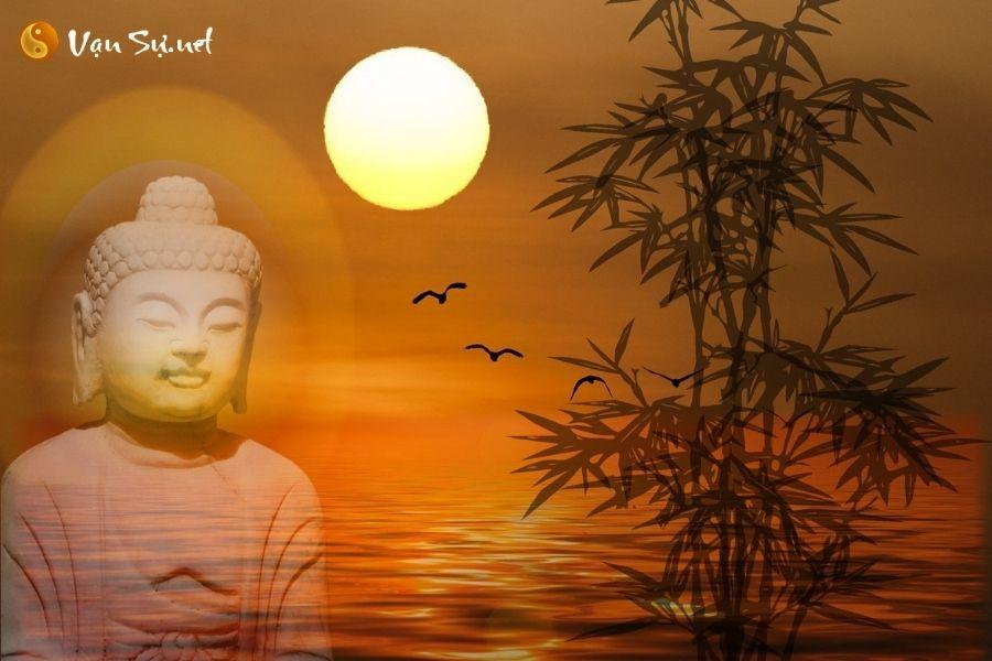 Giải Mã Giấc Mơ Thấy Rắn Nằm Im