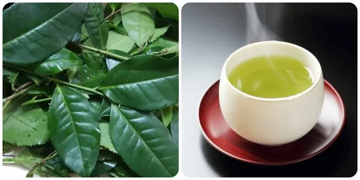 Uống nước trong xanh