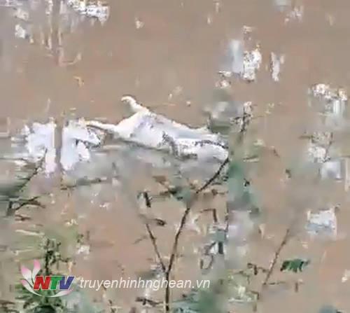 Nằm Mơ Thấy Đỉa Cắn Vào Chân Đánh Con Gì?