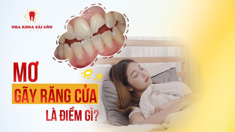 Giải Mã Giấc Mơ Thấy Rất Nhiều Mèo Con Và Số Đề Liên Quan