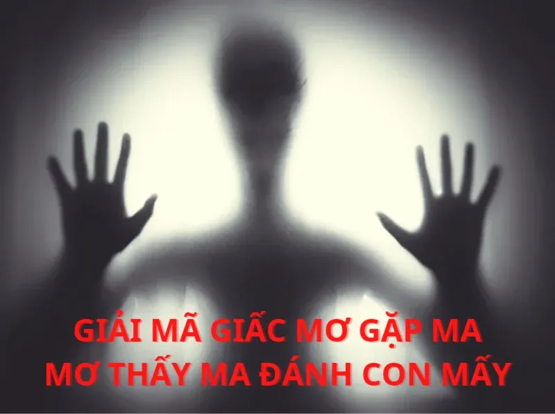Ý nghĩa tâm linh của các con số trong giấc mơ và số đề