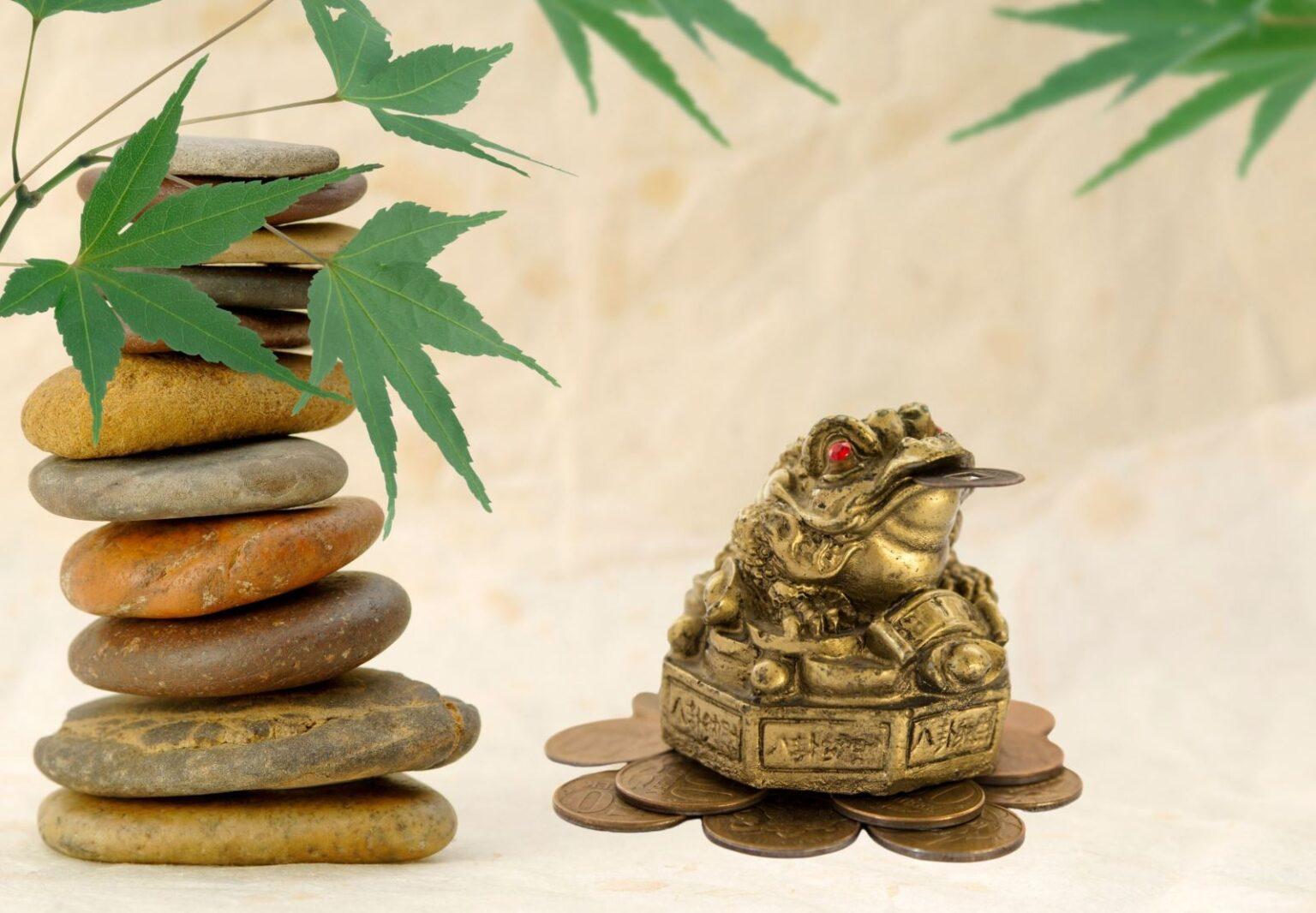 Ý nghĩa tâm linh của cóc