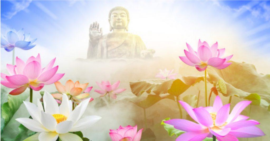 Giải Mã Giấc Mơ Thấy Lươn Chui Vào Người Và Số Đề