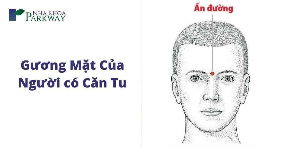 Giải Mã Giấc Mơ Thấy Con Ong Và Những Con Số Liên Quan