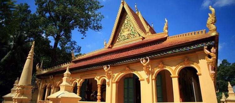 Giải Mã Giấc Mơ Thấy Rắn Rượt Đuổi Và Con Số May Mắn