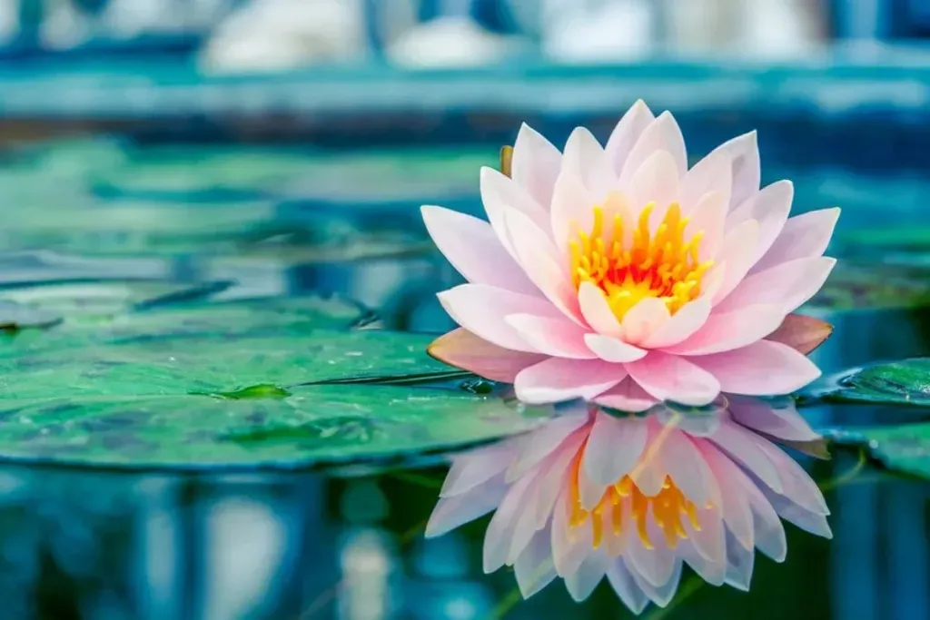 Nằm Mơ Thấy Cây Xanh Đánh Con Gì?
