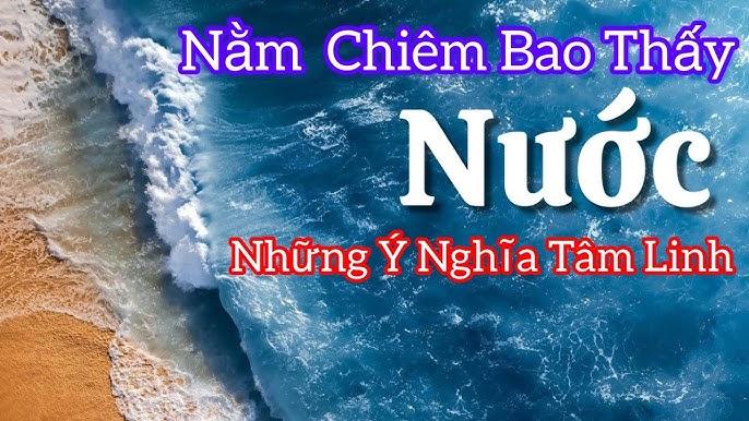 Giải Mã Giấc Mơ Câu Cá Trê Và Những Con Số May Mắn