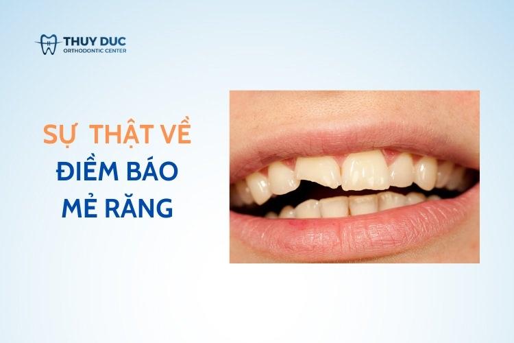 Giải Mã Giấc Mơ Thấy Cắm Hoa Và Những Con Số May Mắn